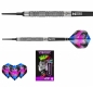 Preview: 18 g Dartset (3 Stk) Peter Wright Snakebite Euro 11 Element