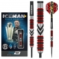 Preview: Steel Darts (3 pcs) Gerwyn Price "Iceman" Firebird