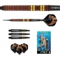 Preview: Soft Darts (3 pcs) Peter Wright "Snakebite" - Copper Fusion 20g