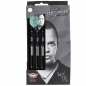 Preview: 22 g Steel Dartset (3 Stk) Max Hopp MAX95%