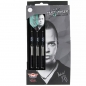 Preview: 24 g Steel Darts (3 pcs) Max Hopp MAX95%