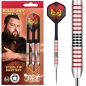 Preview: Steel Darts (3 pcs.) Shot Michael Smith Plated Brass 24 g