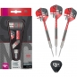 Preview: Steel Tip Darts (3 pcs.)SYNC 80% 02 SP 2022