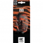 Preview: Steel Dartset (3 Stk) Raymond van Barneveld Brass 22g 2023