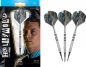 Preview: 19g Dartset Chris Dobey Soft 2023 90% Tungsten