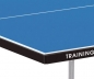 Preview: Table tennis Training