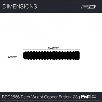 Steel Darts (3 pcs) Peter Wright Copper Fusion
