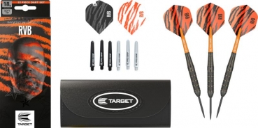 Steel Tip Darts (3 pcs.) Raymond van Barneveld Brass 22g 2023