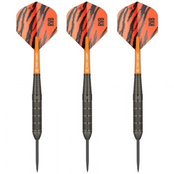 Steel Dartset (3 Stk) Raymond van Barneveld Brass 22g 2023