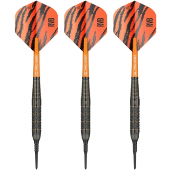 Soft Tip Darts (3 pcs.) Raymond van Barneveld Brass 18g 2023