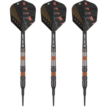 Steel Darts  (3 pcs)  Raymond Van Barneveld 80% Black SP 2023