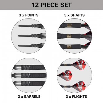 Softtip Darts (3 pcs) Phil Taylor Raw Power Gen 11 95%