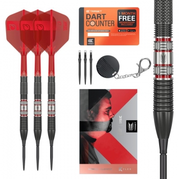 Steel Darts (3 pcs) Gabriel Clemens 95K SP