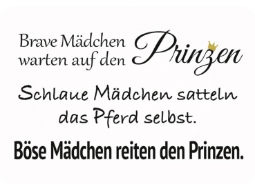 Metall sign hangers Brave Mädchen, böse Mädchen, Prinzen425077