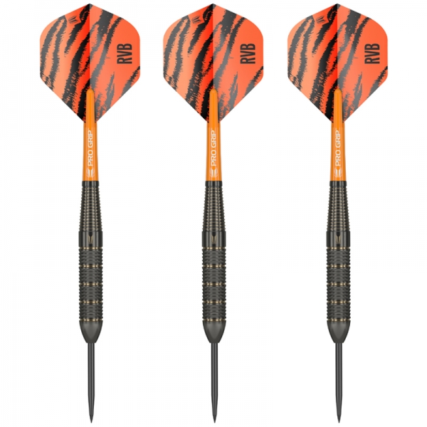 Steel Dartset (3 Stk) Raymond van Barneveld Brass 22g 2023