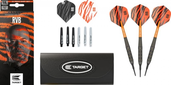 Soft Tip Darts (3 pcs.) Raymond van Barneveld Brass 18g 2023