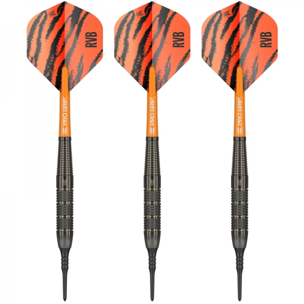 Soft Tip Darts (3 pcs.) Raymond van Barneveld Brass 18g 2023