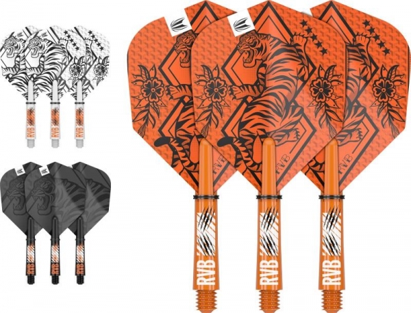 INK Flight & Shaft Kit Raimond van Barneveld