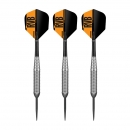 Steel Darts (3 pcs) Raymond van Barneveld RVB TUNGSTEN LOOK