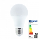 LED Light Bulp E27 10 W 230 Volt
